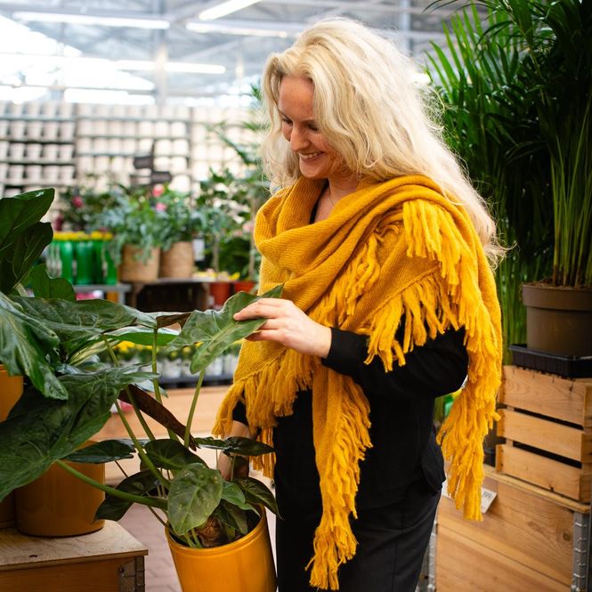 Hovedbilde Sjal i mohairmix - okergul